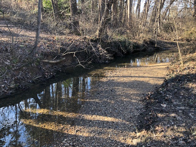 Southside Park Creek 2